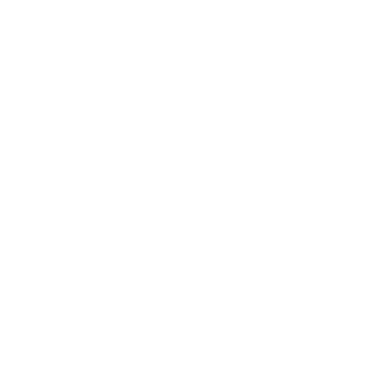 Logotyp för Sh bygg 100 år